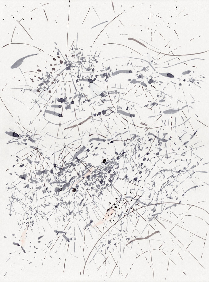 Flying Landscape I, Tusche auf Papier, 40 x 30 cm, 2023