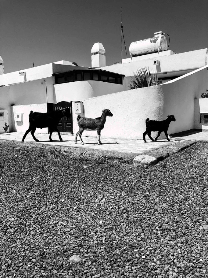 fuerteventura - by kommando: kunst.
