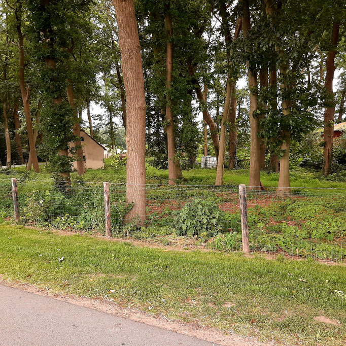 Milchviehbetrieb Wilken — photo 8