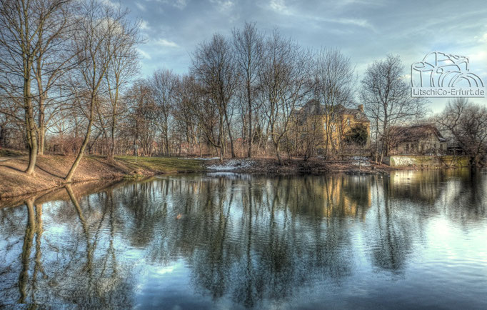 Kleiner See am Luisenpark Erfurt
