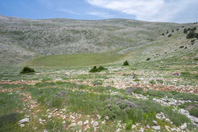 Habitat of Vipera anatolica anatolica in southern Turkey