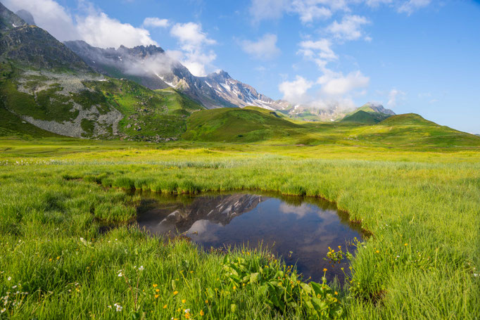 Habitat of Vipera aspis aspis 'atra' in eastern France