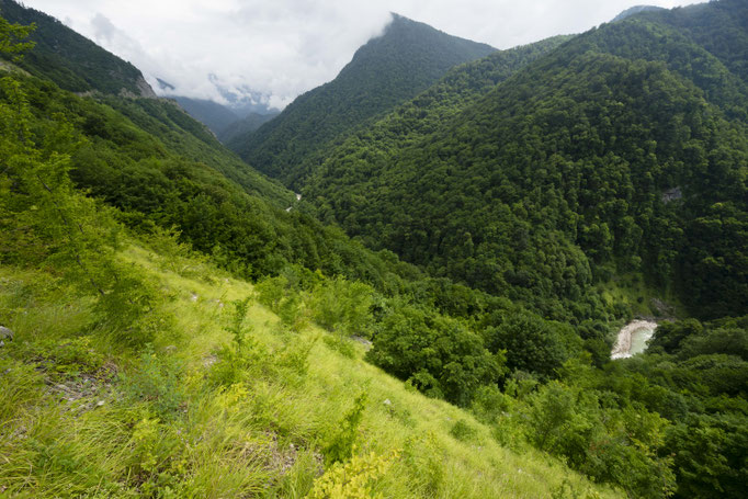 Habitat of Vipera kaznakovi in north-western Georgia