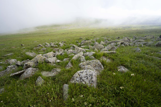Habitat of Vipera darevskii in southern Georgia