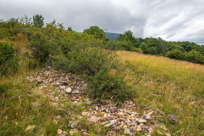 Habitat of Vipera aspis aspis in western Switzerland