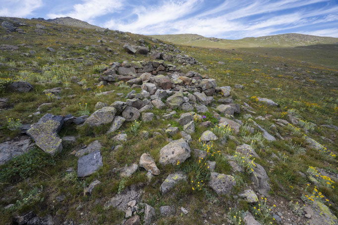 Habitat of Vipera darevskii sakoi