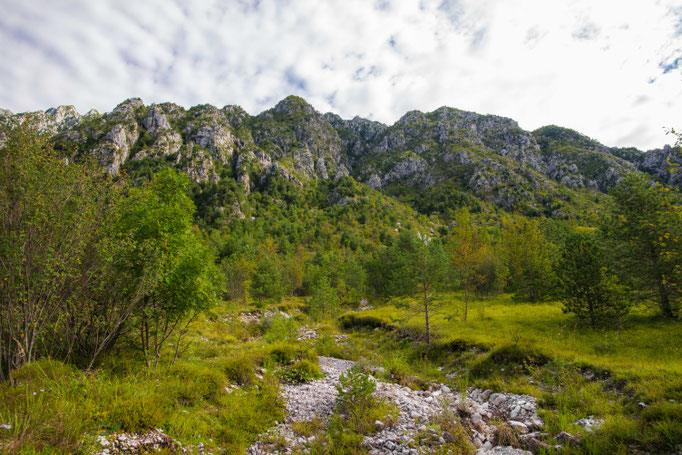 Habitat of Vipera aspis francisciredi in northern Italy