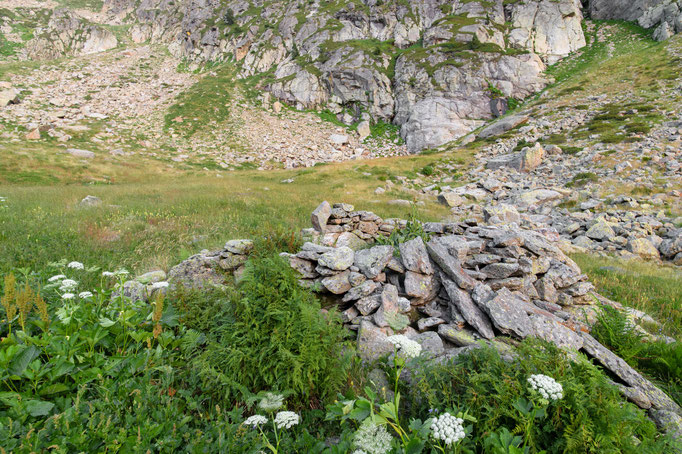 Habitat of Vipera aspis zinnikeri in Andorra