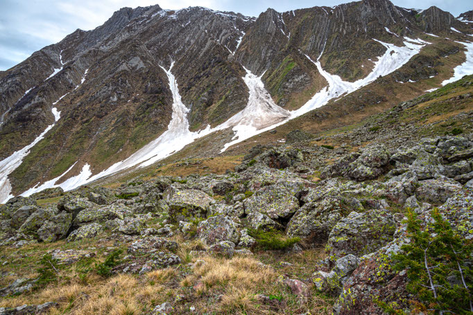 Habitat of Vipera dinniki in northern Georgia