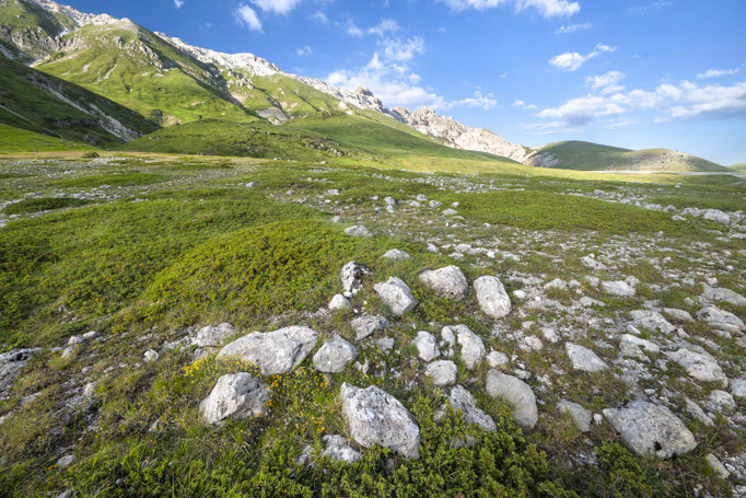Habitat of Vipera ursinii ursinii in central Italy