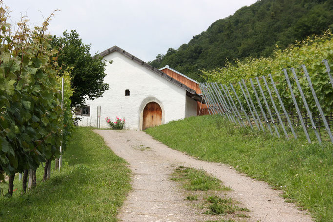 Das Baierwein Museum in Bach a.d. Donau, Foto: Landratsamt Regensburg