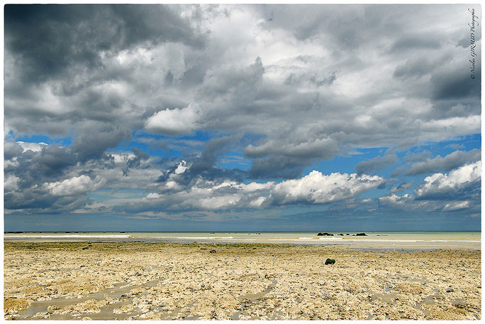 Côte d'Albâtre © Nicolas GIRAUD