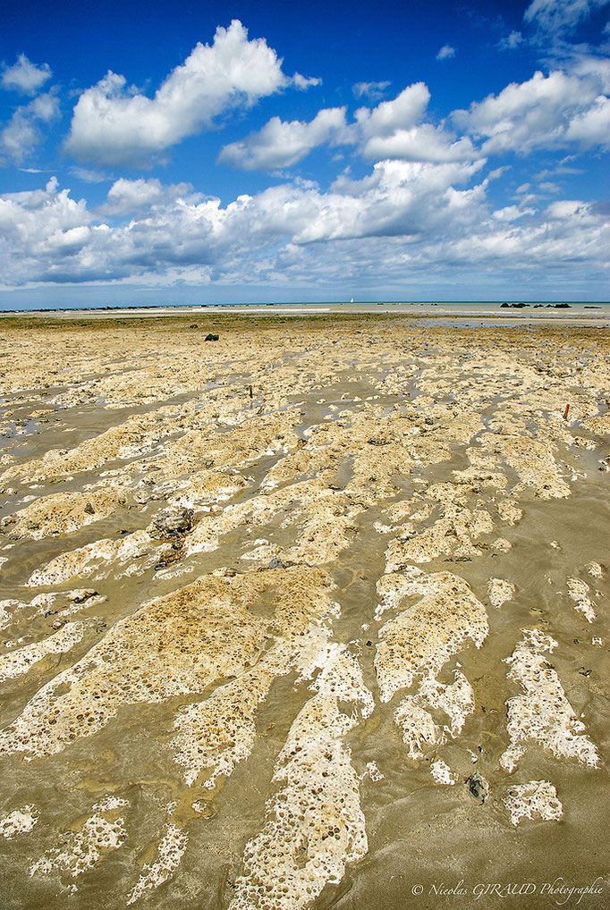 La Manche - Seine Maritime © Nicolas GIRAUD