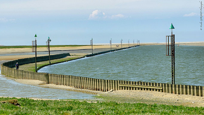 Baie de Somme - Picardie © Nicolas GIRAUD