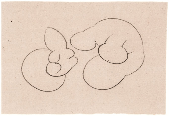 Exercise / エクササイズ　Pencil on Paper / 紙に鉛筆　155×227mm　2025