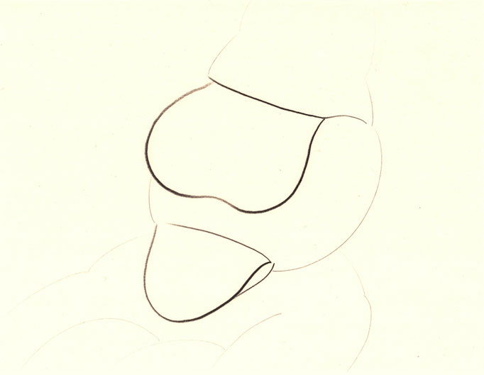 Exercise / エクササイズ    Pencil on Paper / 紙に鉛筆　240×310mm　2025