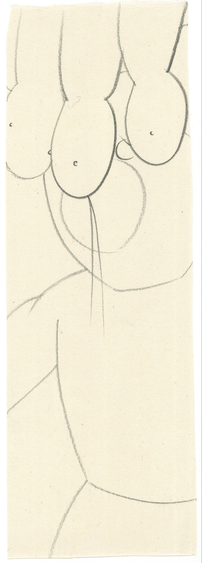 Exercise / エクササイズ    Pencil on Paper / 紙に鉛筆　320×110mm　2025