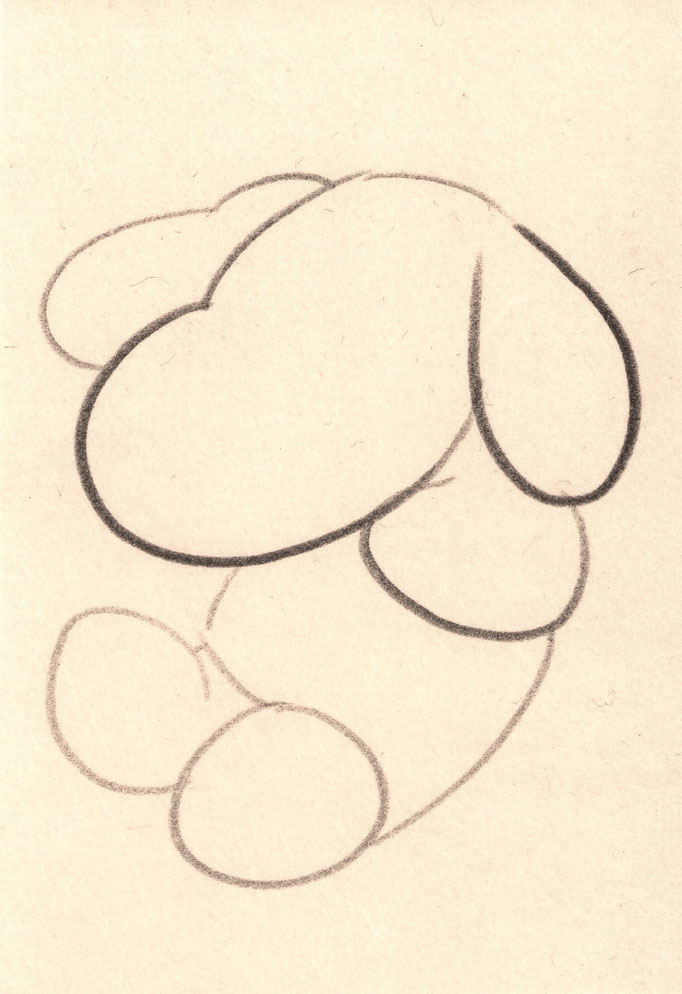 Exercise / エクササイズ　Pencil on Paper / 紙に鉛筆　152×110mm　2025