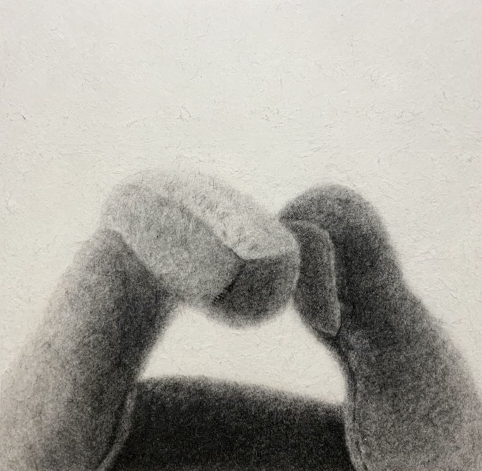 Stuffed toy / ぬいぐるみ　Pencil on Paper / 紙に鉛筆　227×227mm　2025