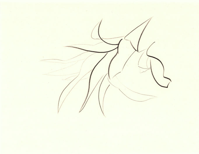 Exercise / エクササイズ    Pencil on Paper / 紙に鉛筆　235×315mm　2025