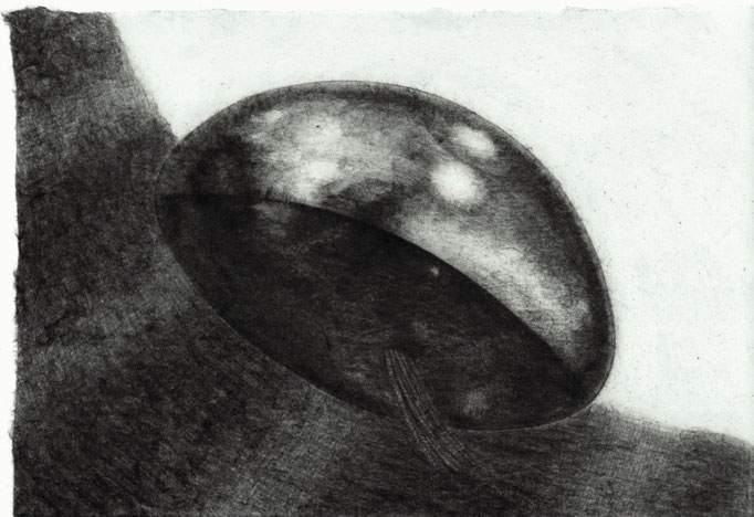 Stuffed Animal / ぬいぐるみ　Pencil on paper　175×258mm　2024