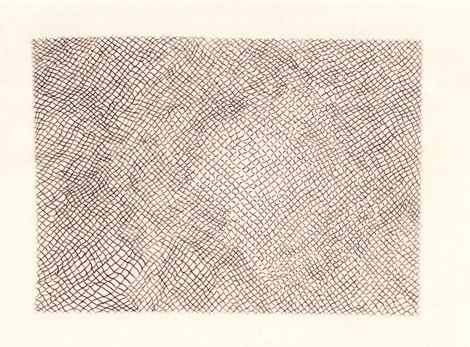 Fence / フェンス　Carbon transfer　320×432mm　2024