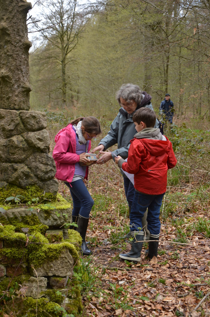 Chasse au trésor en forêt de Crécy-en-Ponthieu et en Baie de Somme