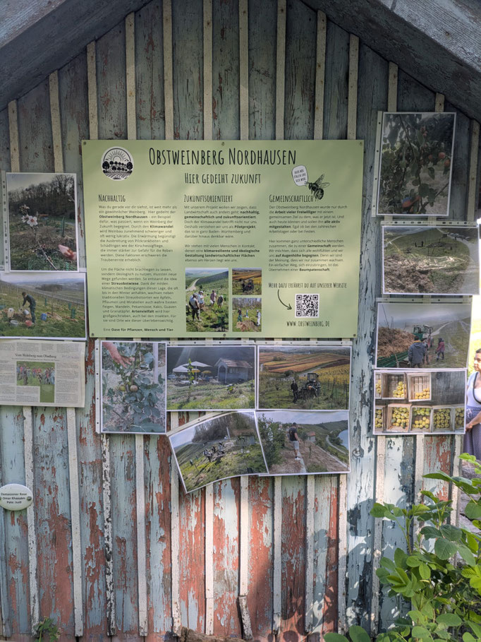 Infotafeln am Obstweinberg, Foto: Guido Löscher