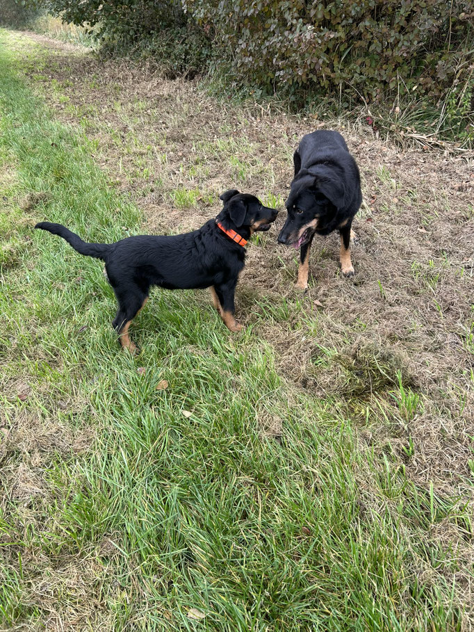 Vianne und Abeline