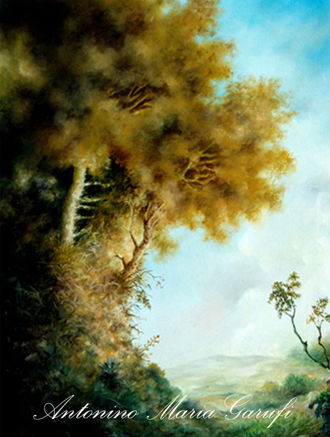 164. "Alberi su dirupo" Olio su Tela cm.70x50