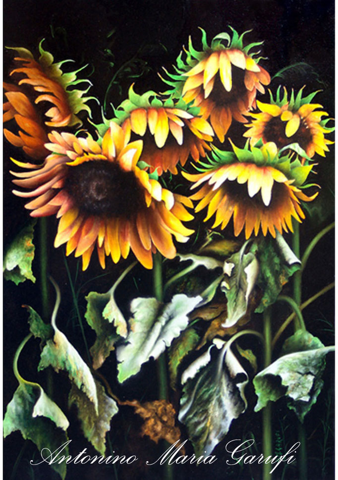 215. "Al calar del sole - girasoli" Olio su Tela cm.100x70