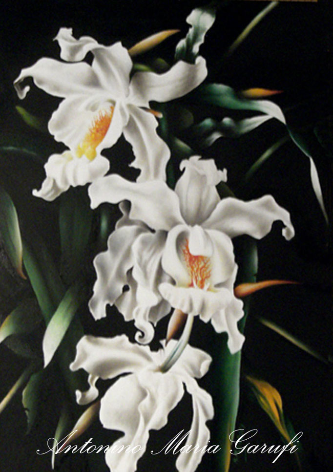 258. "Orchidee bianche" Olio su Tela cm.100x70