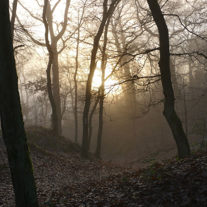 Rundweg A7, Stimberghöhen