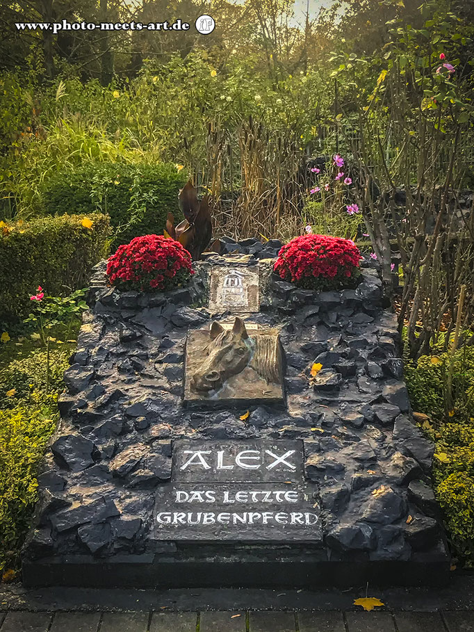 #alex #grubenpferd | https://www.instagram.com/p/CKWYUManYMt/