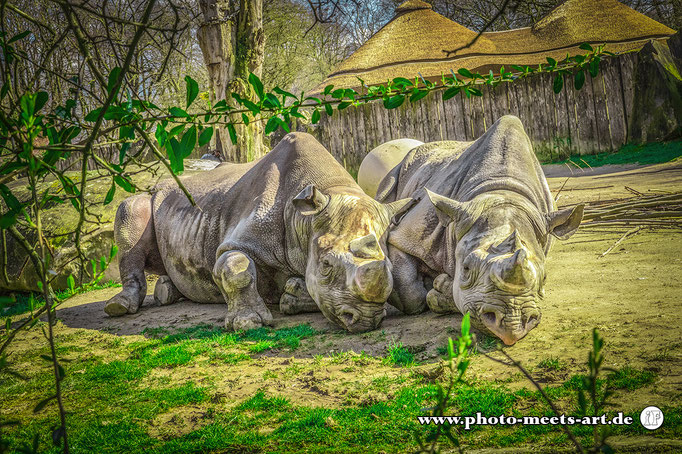 Krefeld - Zoo - Fotos by Ivano Fargnoli - www.photo-meets-art.de
