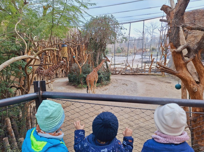Kinder von hinten beobachten Giraffen im Zoo Zürich