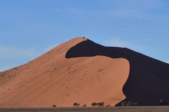 Dune rouge (Désert du Namib, Namibie)