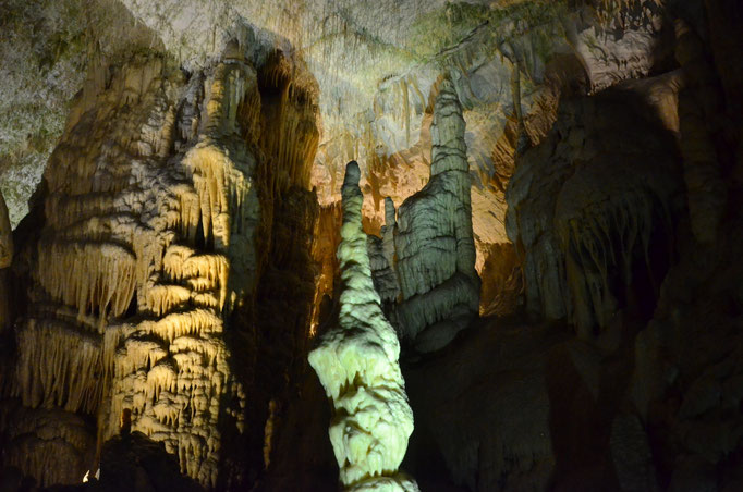 Concrétions calcaires (Grottes de Postojna, Slovénie)