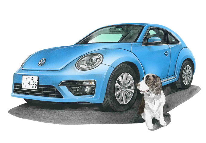 車絵イラスト　ビートルと犬