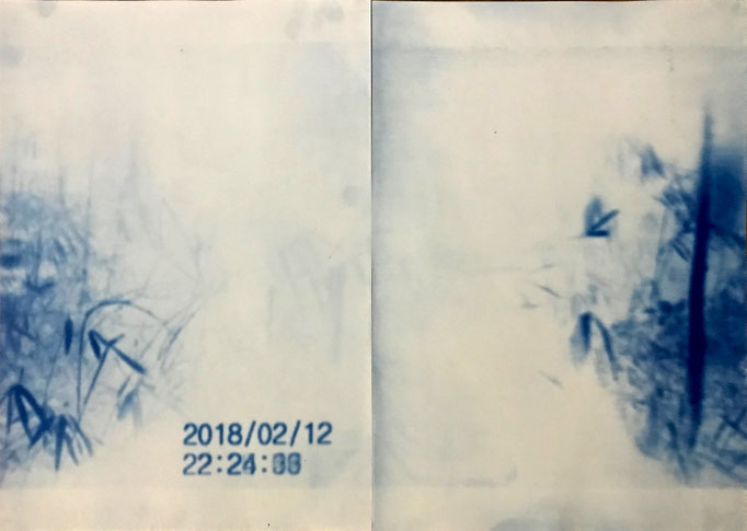 Solar night vision (2018) 594x840 mm