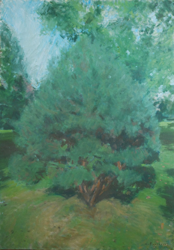Nicolas Borderies Peintures Paintings exposition huile art