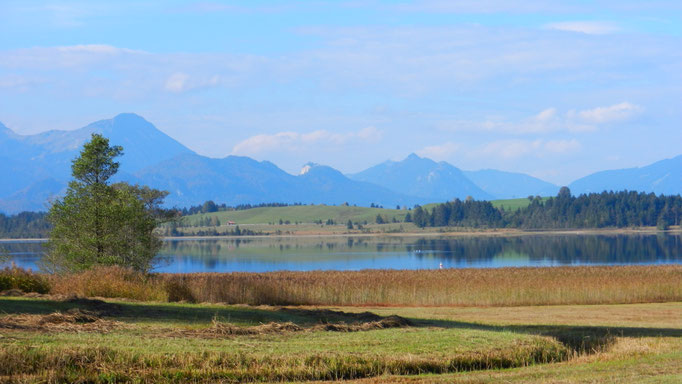 Der Bannwaldsee