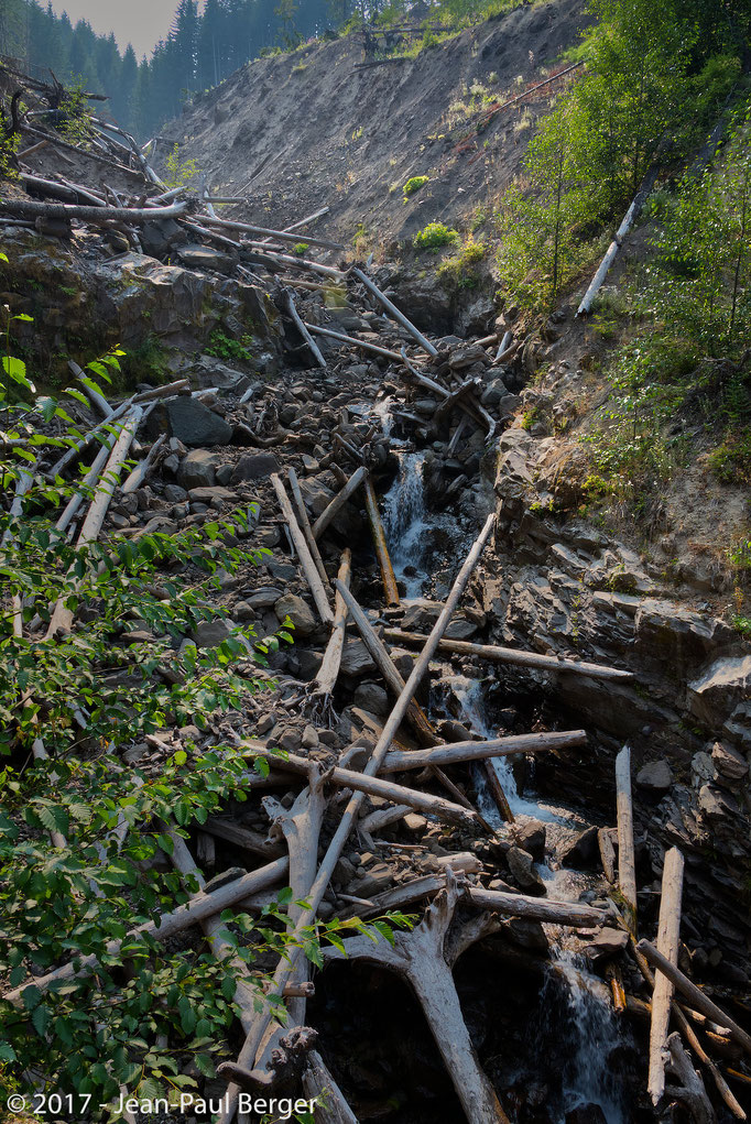 Mt St-Helens, versant Nord-Est - Des torrents de débris de roches et de boue, arrachent les arbres, détruisant les routes et les ponts sur plus de 30 km.