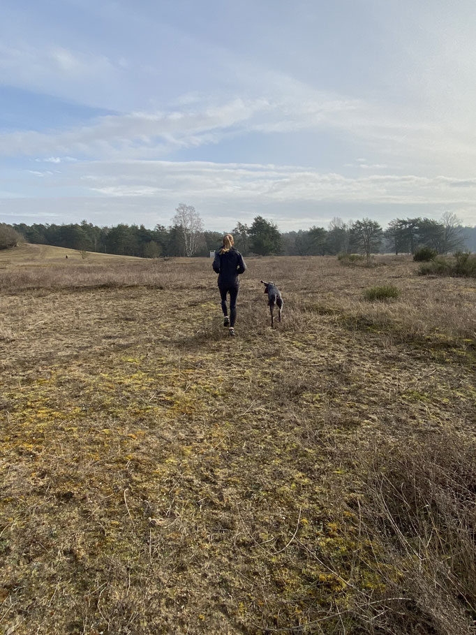 aussensein, Sport und Bewegungstherapie Saskia Hagen, Therapeutisches Outdoor Training, Lauftraining, Coaching