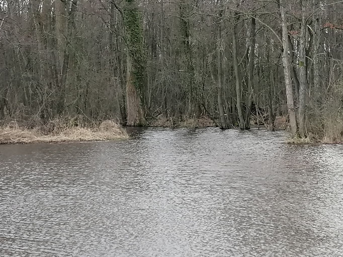 Zompesloot is een rivier geworden