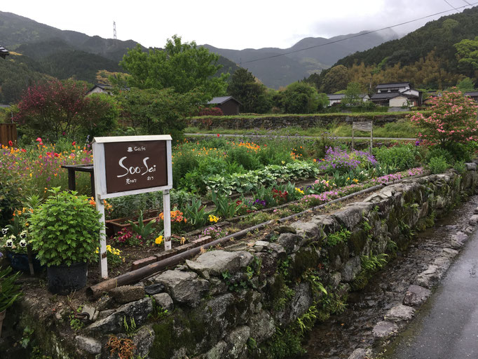 水と緑