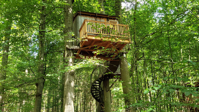 Kleines Baumhaus zwischen zwei Buchen, mit Wendeltreppe.