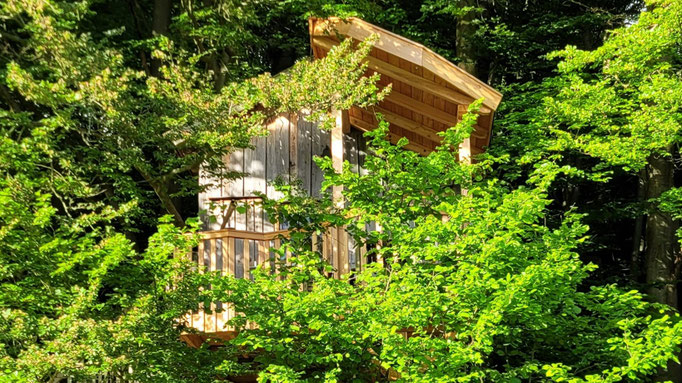 Baumhaus mit teilüberdachten Balkon umrahmt von grünen Buchen.