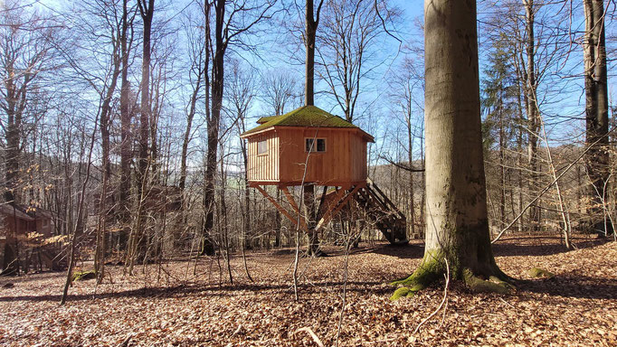 Baumhaus "Kobel" im Wald. Aufgenommen Ende Feb. 2023.