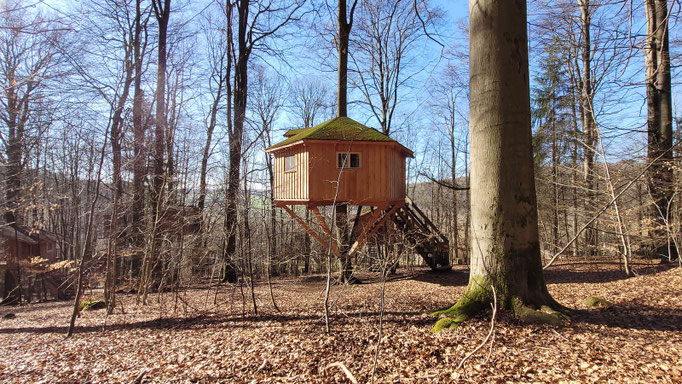 Baumhaus im Wald ohne Laub.